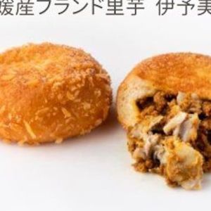 カリットカリー ~愛媛産ブランド里芋、伊予美人~